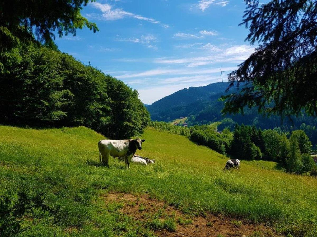 Walkenstein Hotel 3*