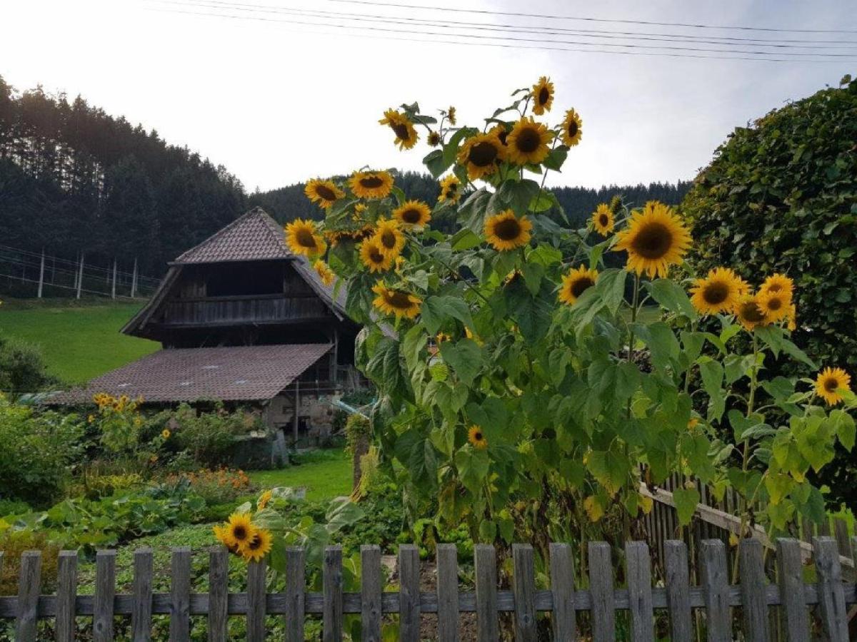 Hotel Walkenstein